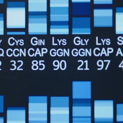 DNA sequence chart